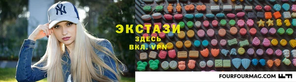 стаф Корсаков