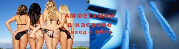 стаф Корсаков