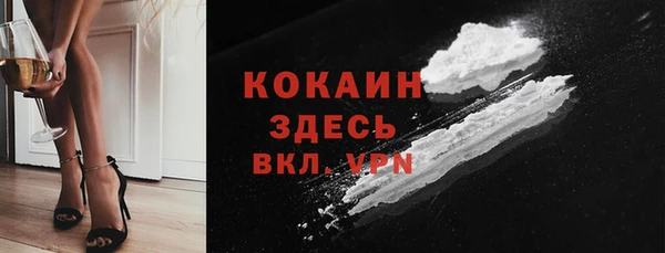 стаф Корсаков