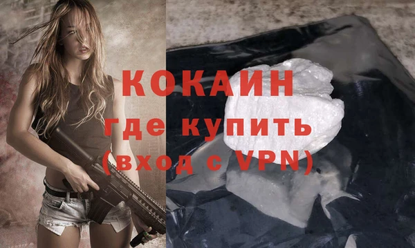 стаф Корсаков