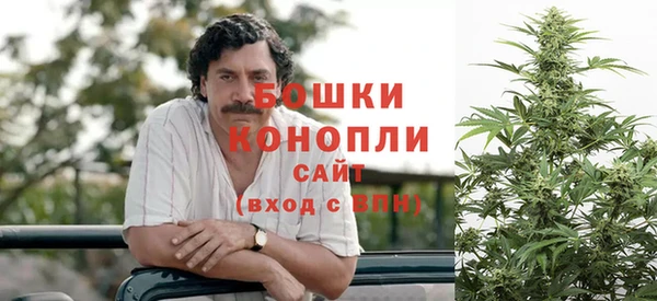 стаф Корсаков