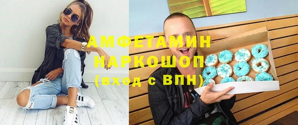 стаф Корсаков